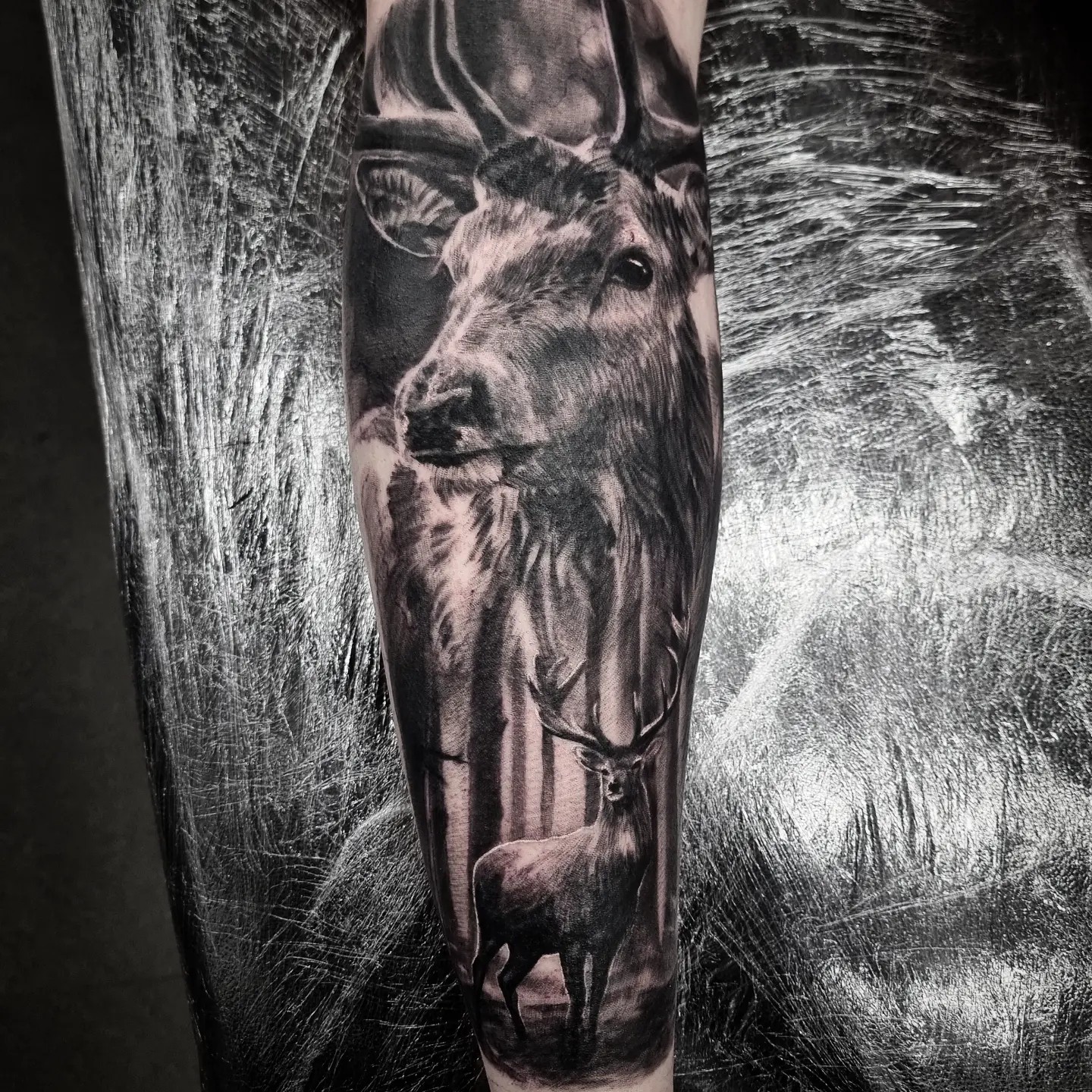 Black and grey realism animal tattoo by Tomek Turlej, tattoo artist in Edinburgh