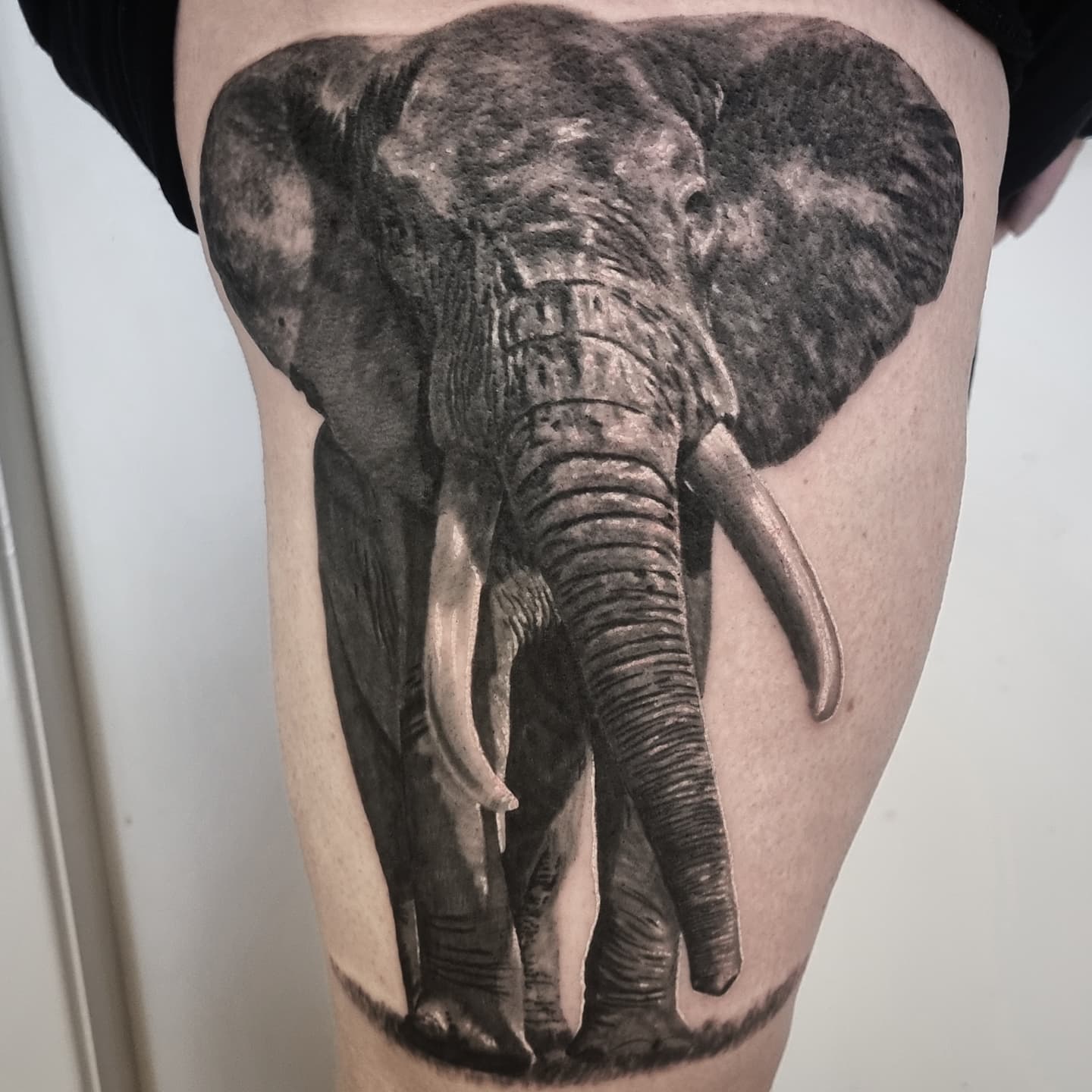 Fine detail black and grey animal tattoo, custom design by Edinburgh tattoo artist Tomek Turlej