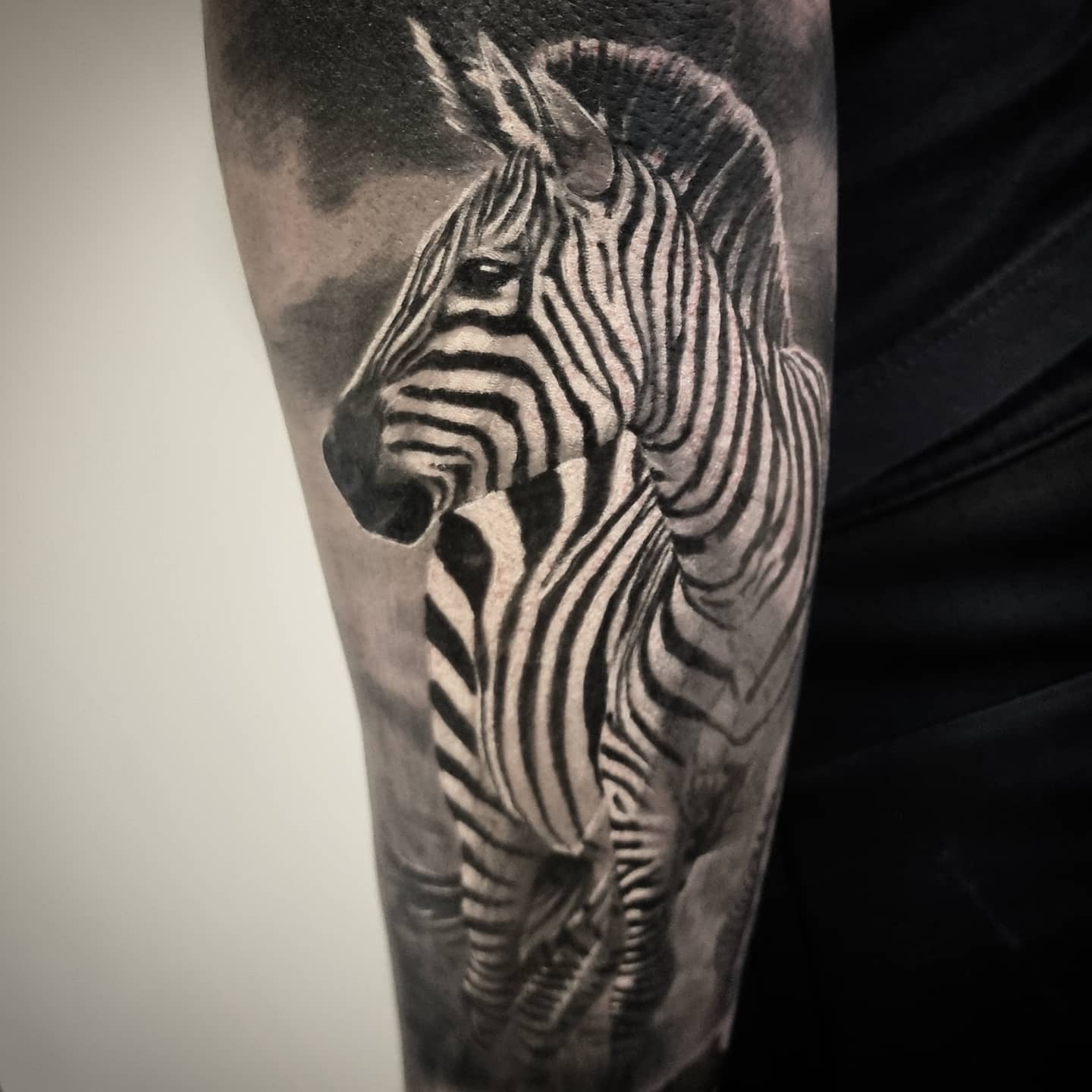 Black and grey realism animal tattoo by Tomek Turlej, tattoo artist in Edinburgh