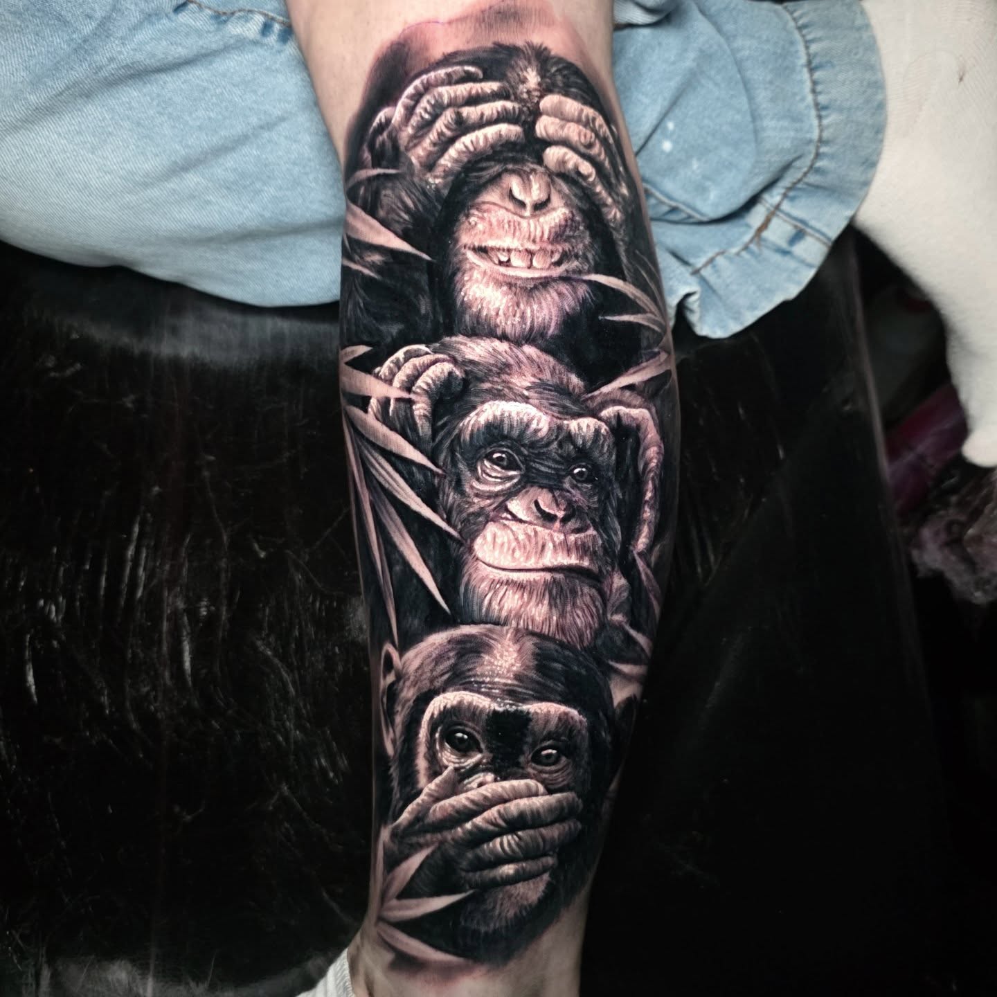 Realistic black and grey portrait tattoo healed, by Tomek Turlej at Studio XIII Gallery Edinburgh